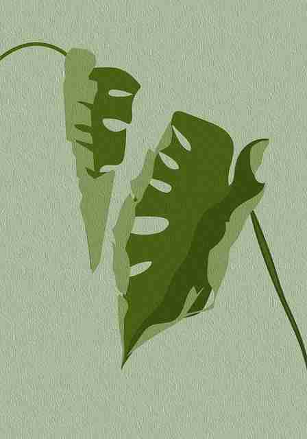 【蘑菇视频ios】终极底层逻辑扫描 - 燃爆现场，蘑菇视频1.20