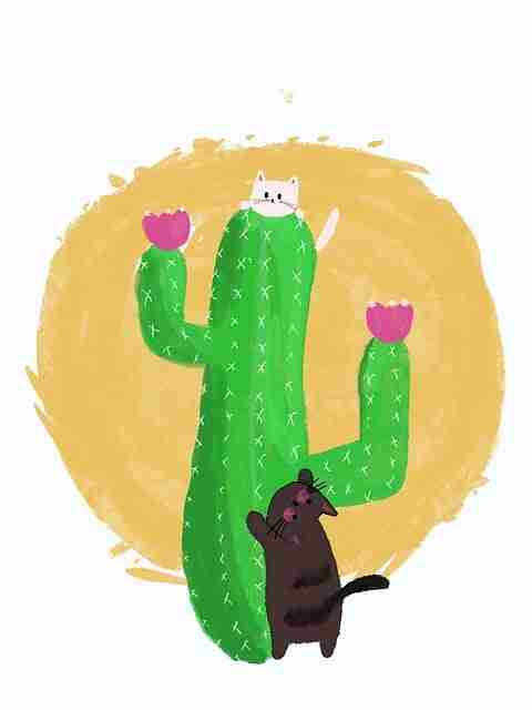 澎湃式每日大赛在线免费观看战术体系深度追踪·收藏级，澎湃在线今日文章