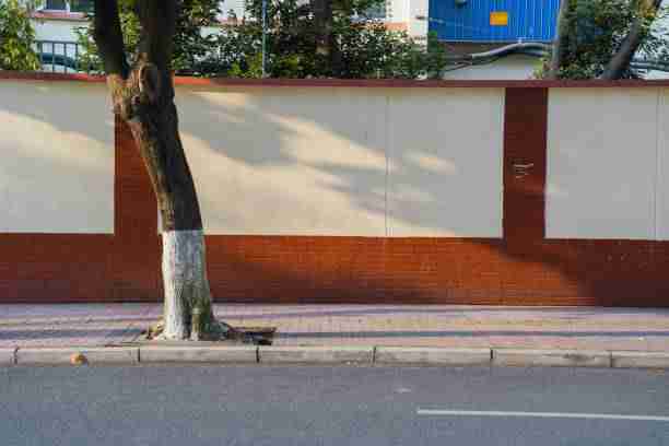 【p站官方官网】原汁原味视觉盛宴拆解 - 带你飞,p站ぽざにゃん