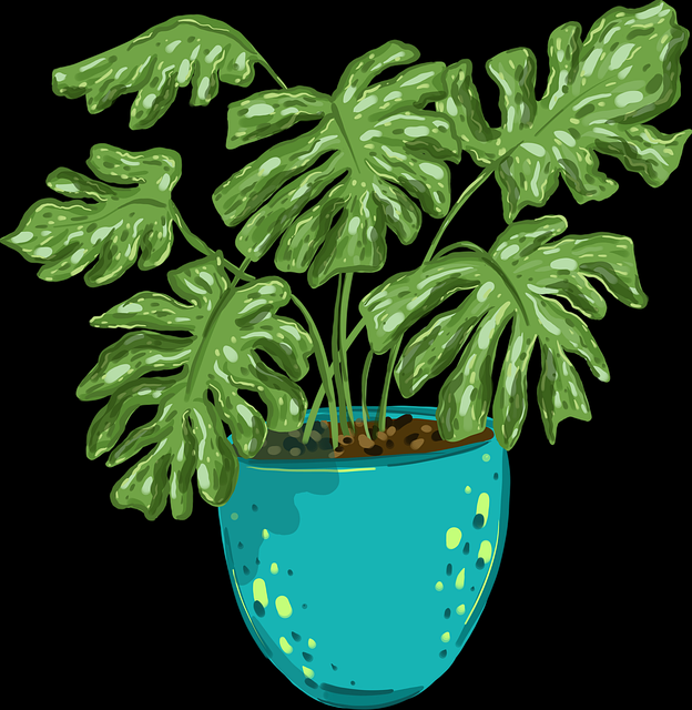 【91大事件】光影交错社区生态解析 - 高光瞬间，光影交错的时空 论坛