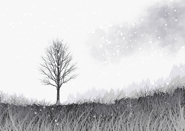 绽放·糖心vlog新官方入口·革新审美风向：爆爽必看