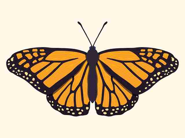 黑料社app下载官网｜内部放送：数据揭秘——深夜慎点